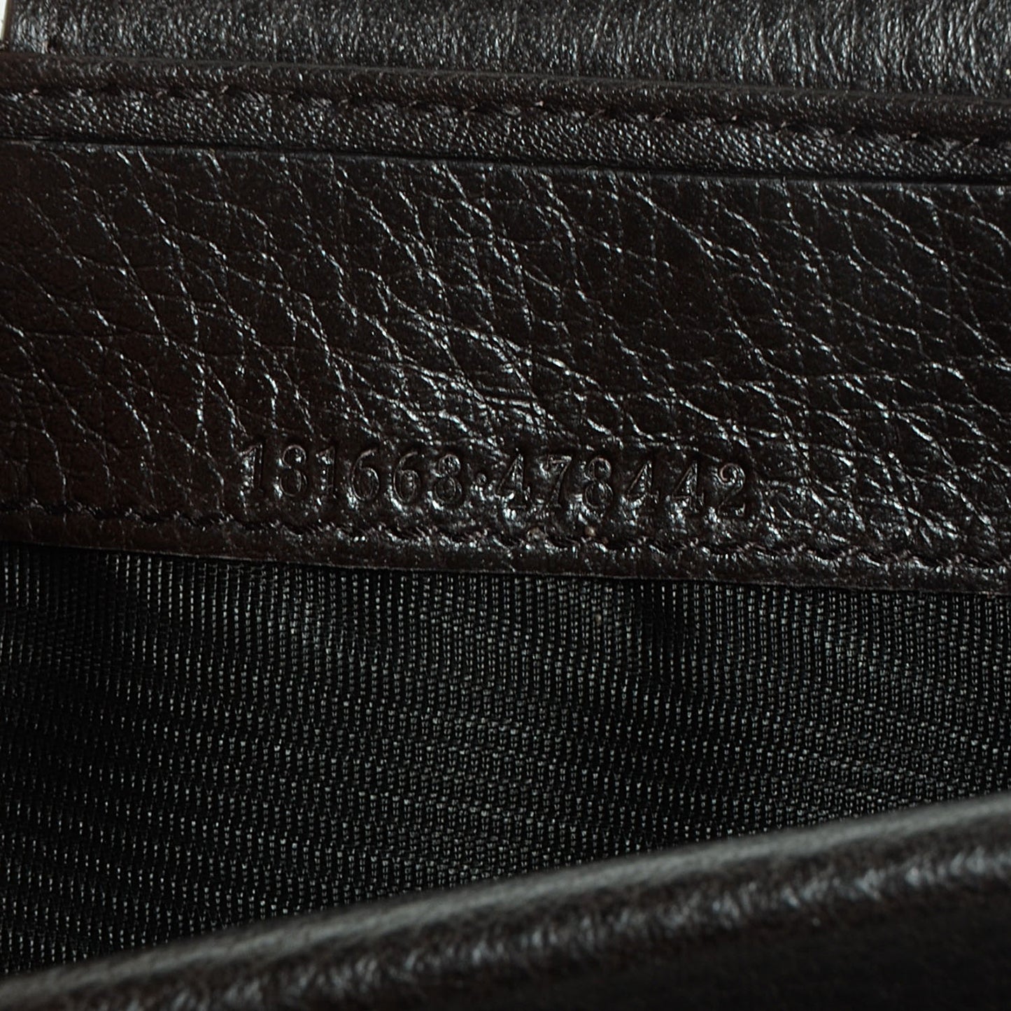 Guccissima Ladies Web Long Wallet Chocolate