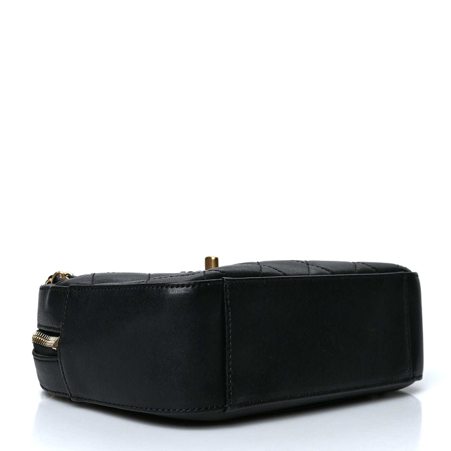Goatskin Quilted Chanel 19 Camera Case Black