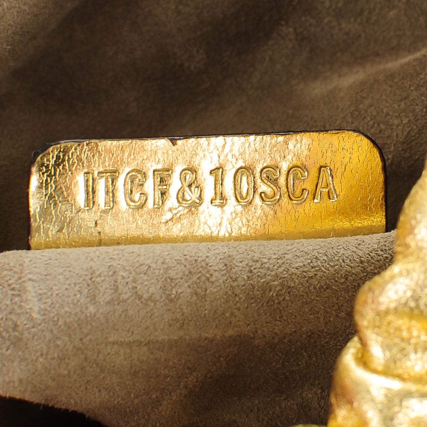 Alligator Little Crush Metallic Gold