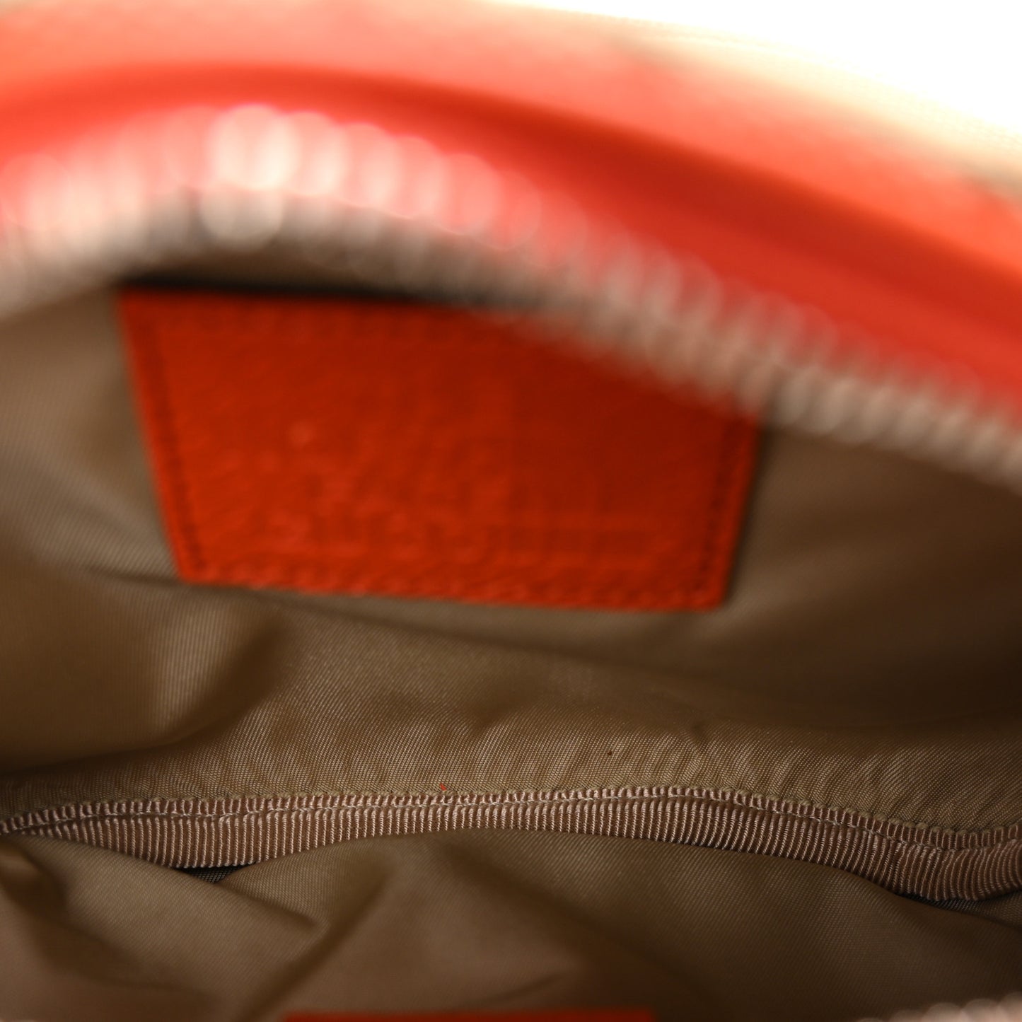 X THE NORTH FACE Monogram Textured Dollar Calfskin Embroidered Belt Bag Beige Ebony Mystic White Deep Orange