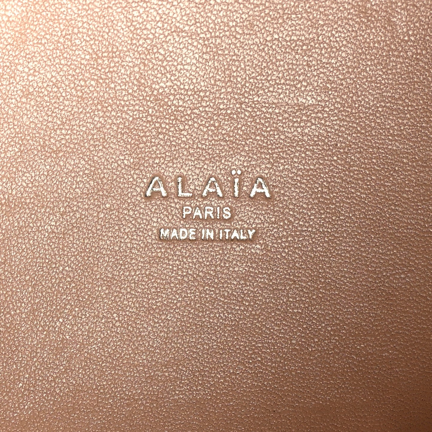 Calfskin Vienne Mina 20 Bag Citron