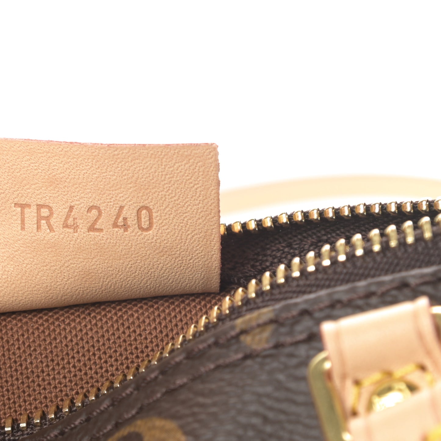 Monogram Nano Speedy