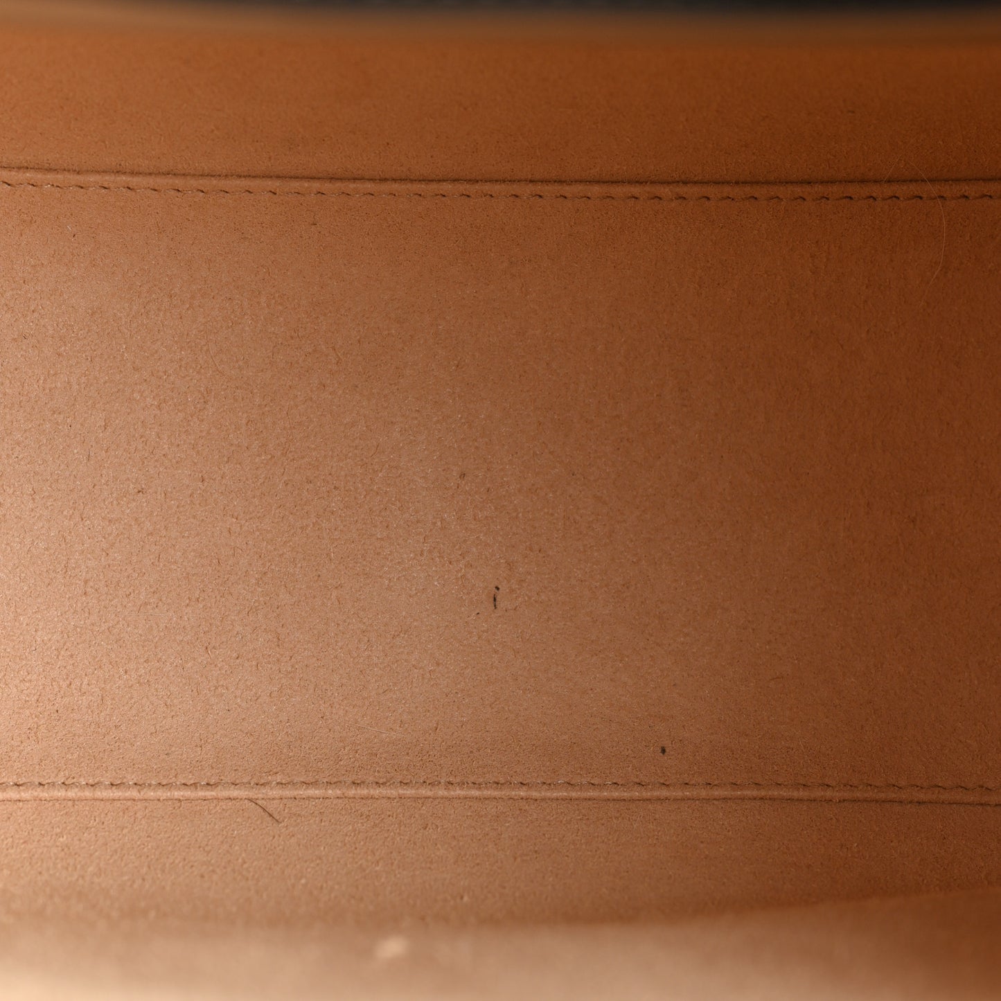 Textured Dollar Calfskin Web Small Diana Tote Bag Oatmeal Vintage Green