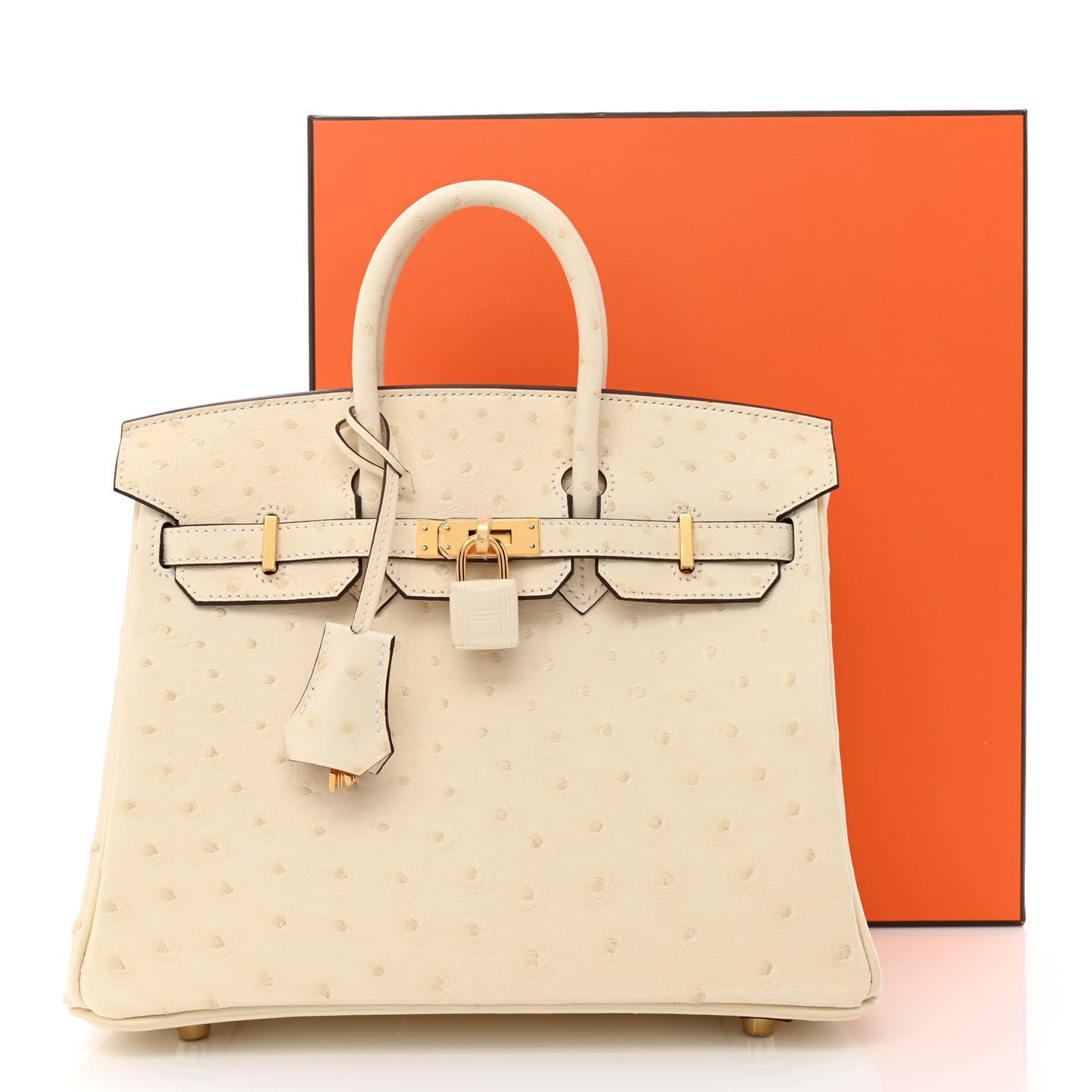 Ostrich Birkin 25 Nata