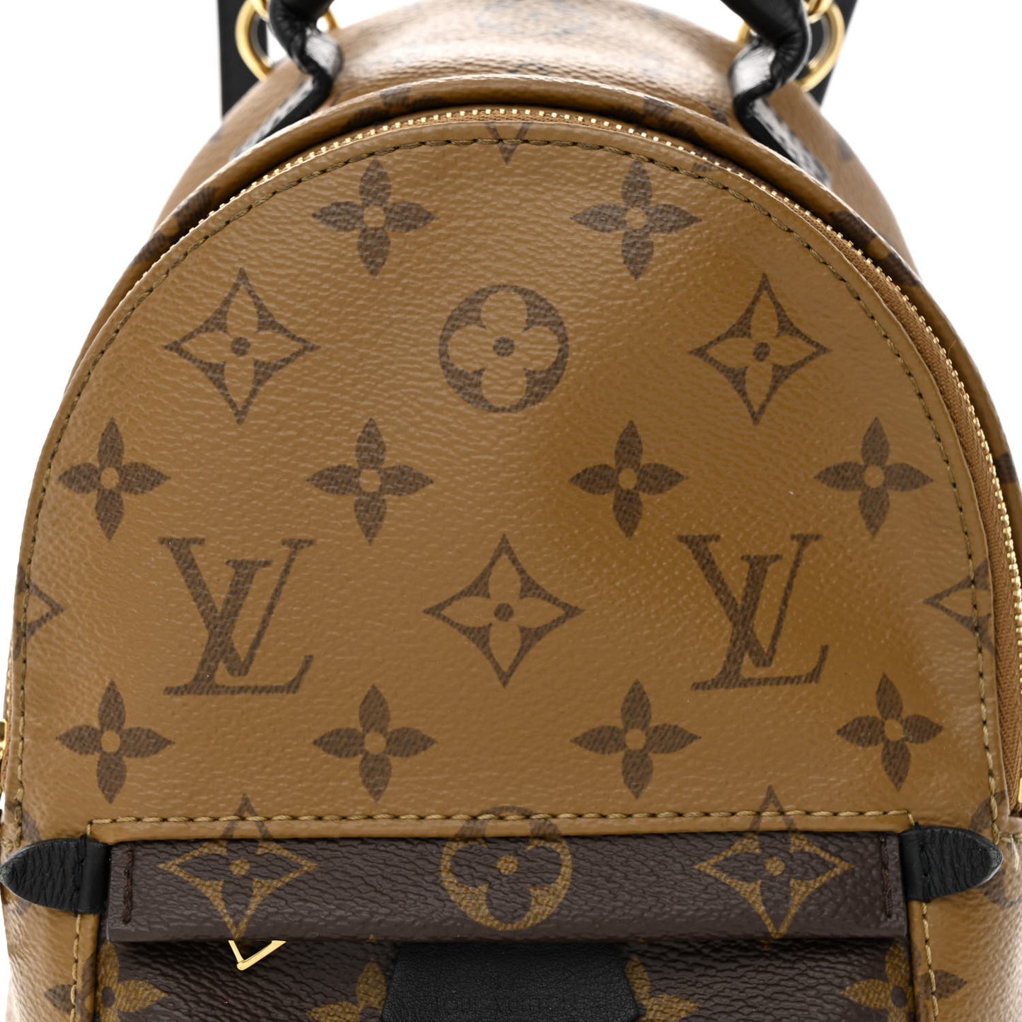 Reverse Monogram Palm Springs Backpack Mini