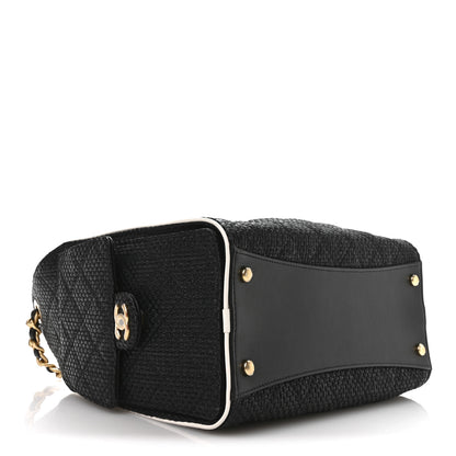 Chanel Braided Raffia Calfskin Small Chanel 25 Handbag Black White 6 of 19