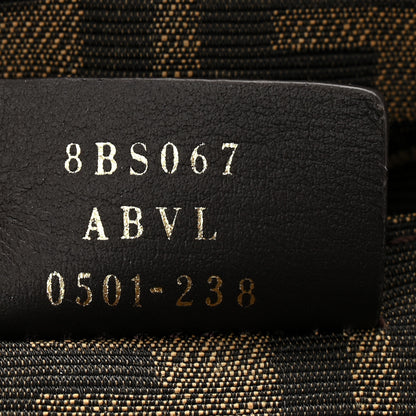 Fendi Vitello King Plexiglass Logo Embossed Mini By The Way Top Handle Boston Bag Caramello 7 of 10