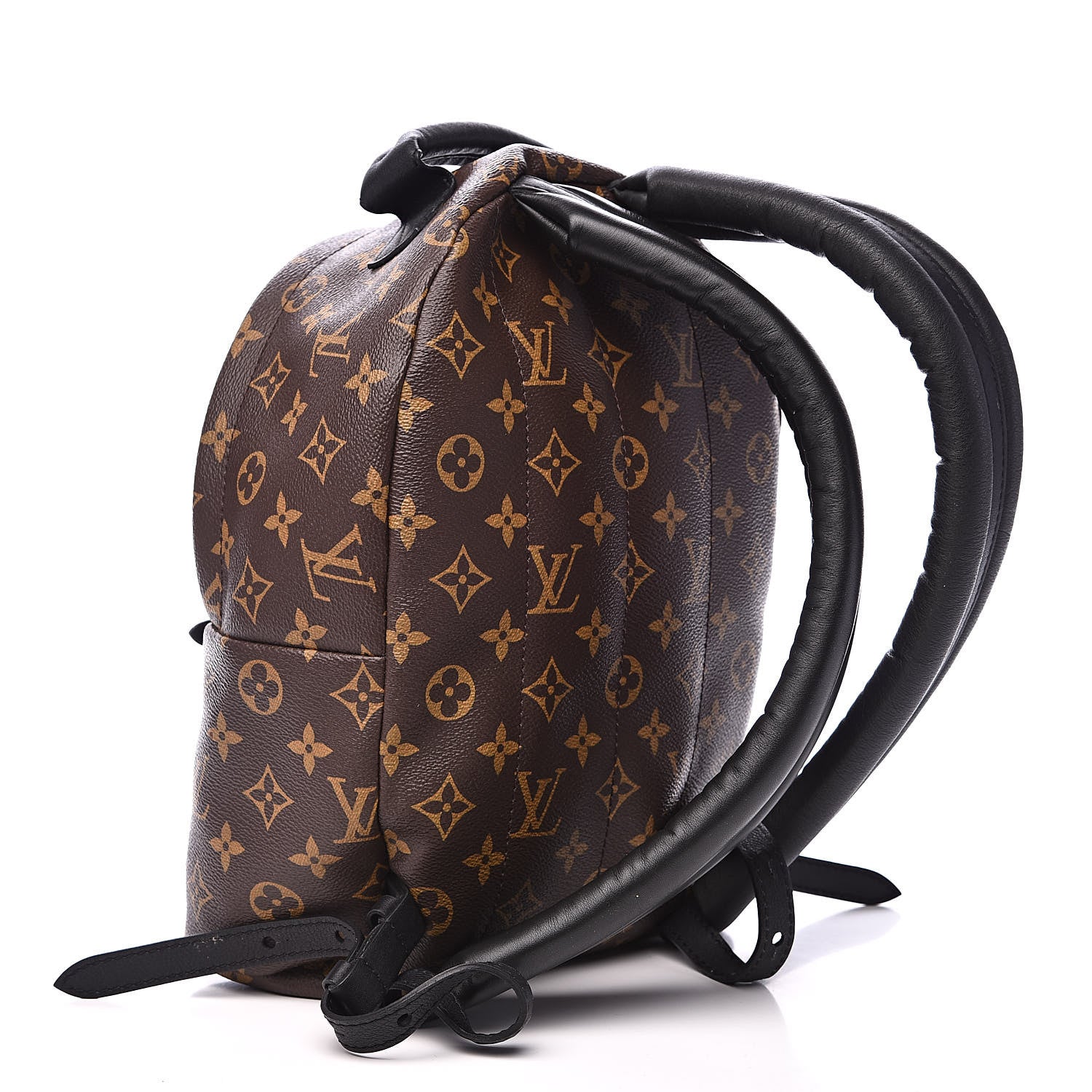 Louis Vuitton Monogram Palm Springs Backpack PM 3 of 9