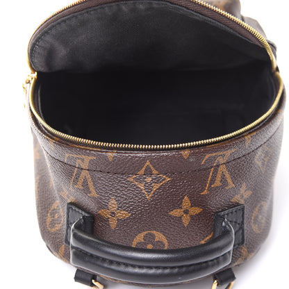 Louis Vuitton Monogram Palm Springs Backpack Mini 5 of 12