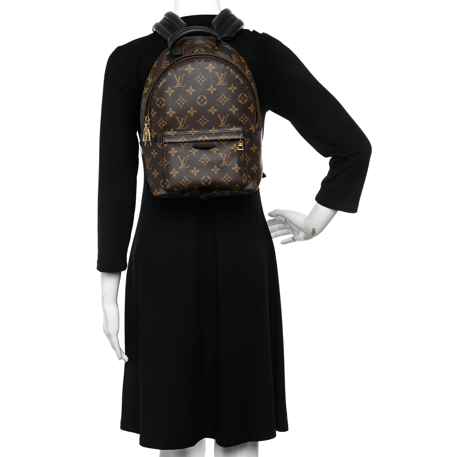 Louis Vuitton Monogram Palm Springs Backpack PM 2 of 9