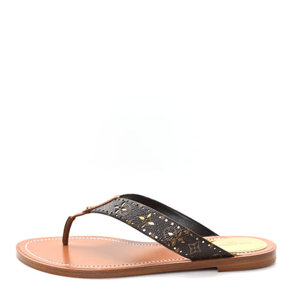 Louis Vuitton Monogram Sunny Flat Thong Sandals 39 Brown 1 of 9