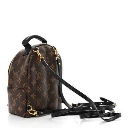 Louis Vuitton Monogram Palm Springs Backpack Mini 3 of 10