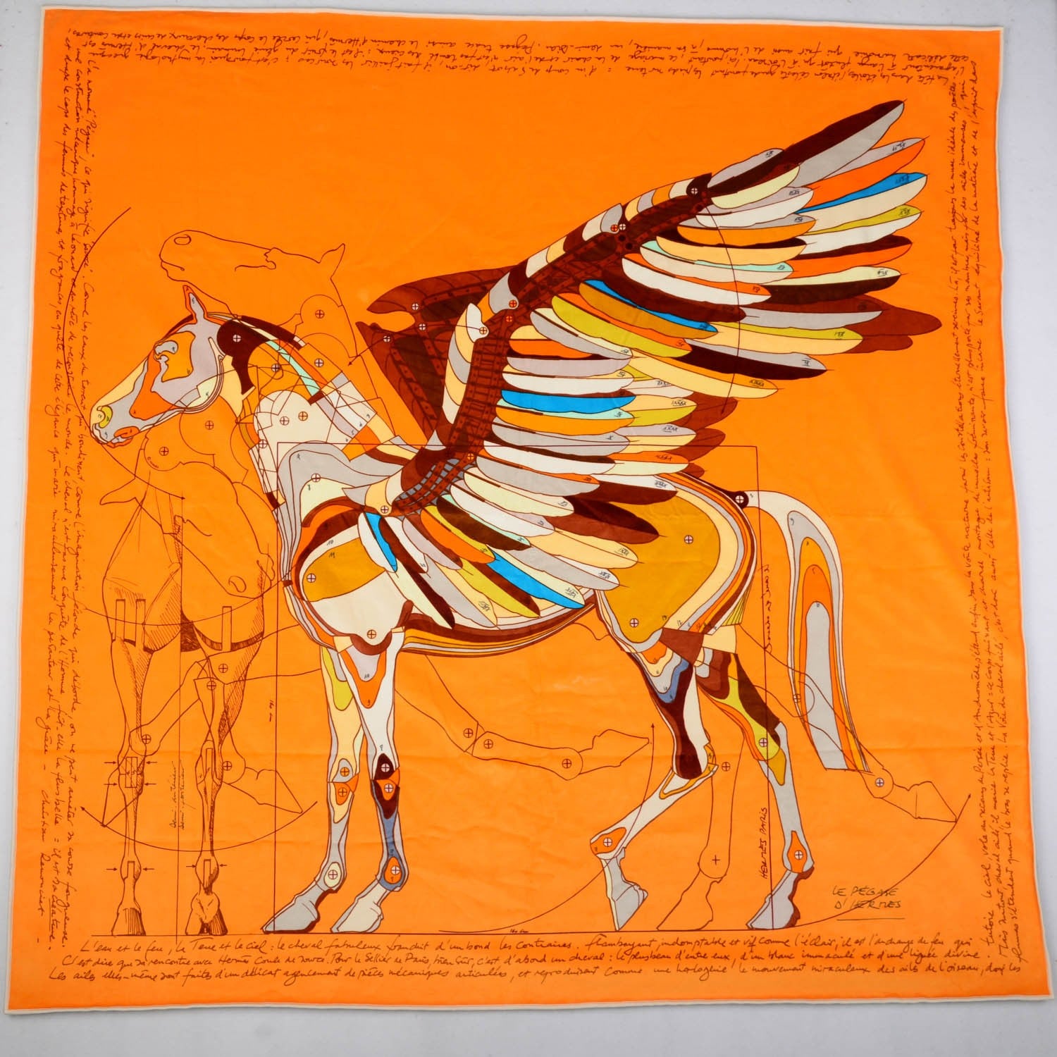 Hermes Cotton Modal Velvet Le Pegase D'Throw Orange 3 of 7