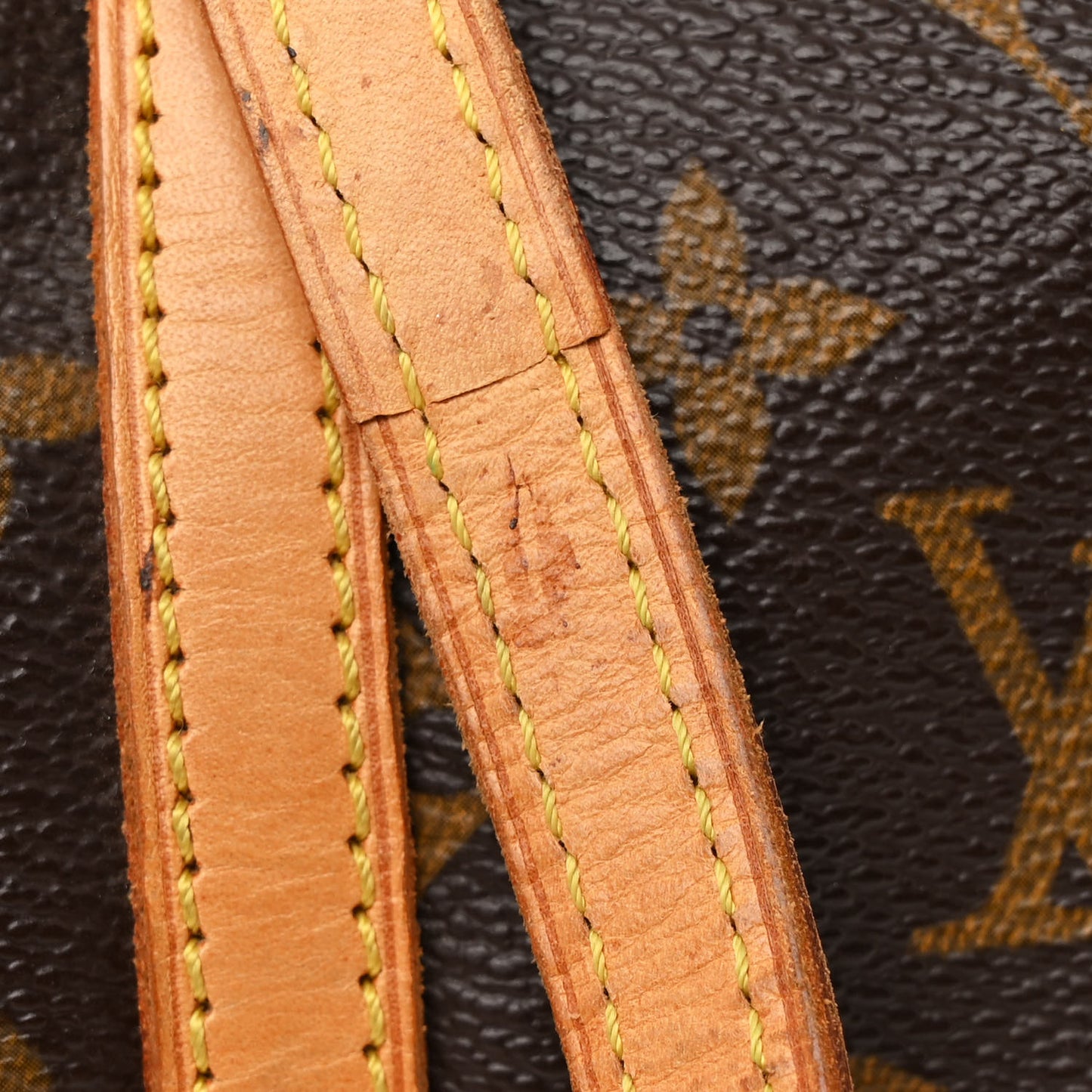 Monogram Papillon 30 with Companion