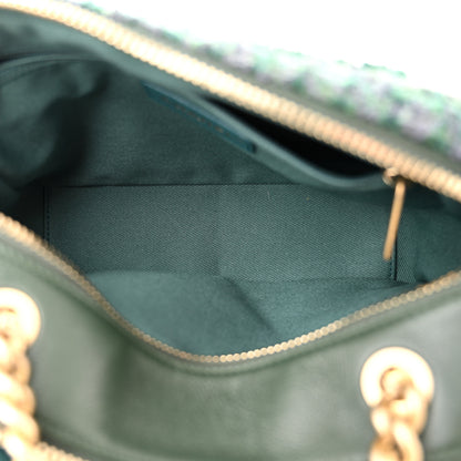 Chanel Tweed Shearling Grained Calfskin Camera Case Green 5 of 12