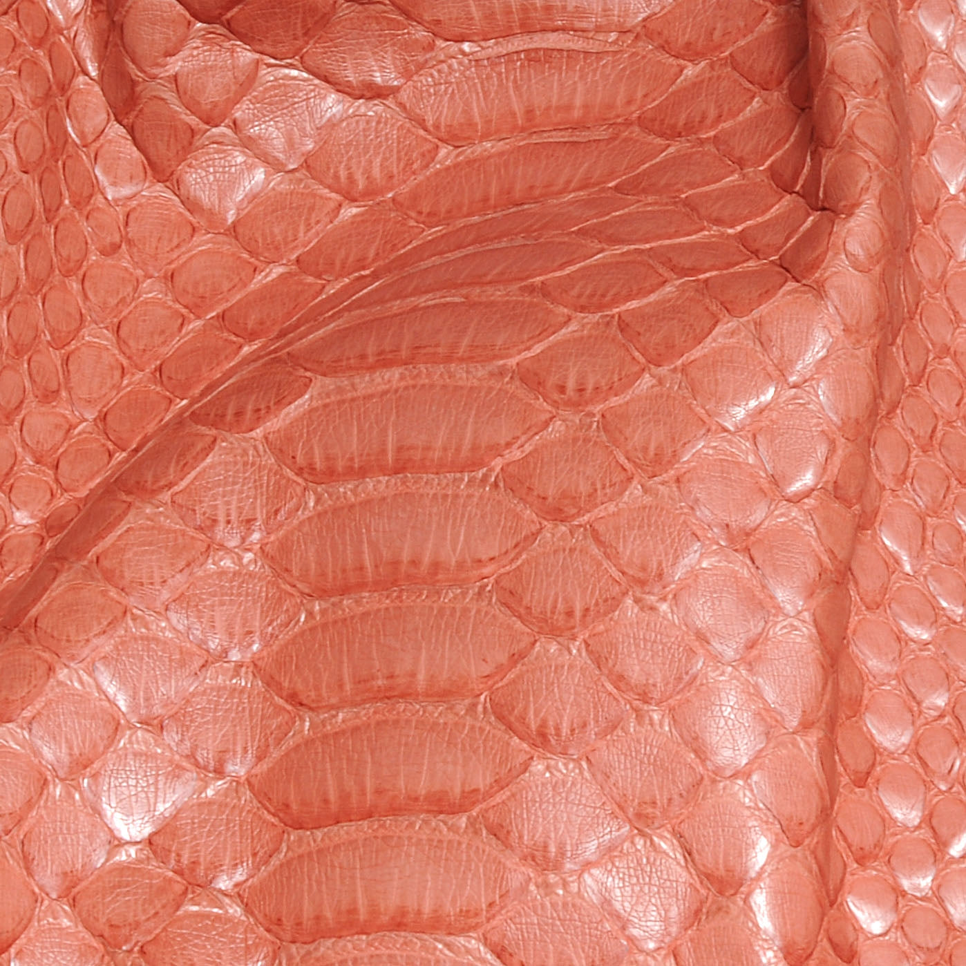 Python Medium Paraty Pink