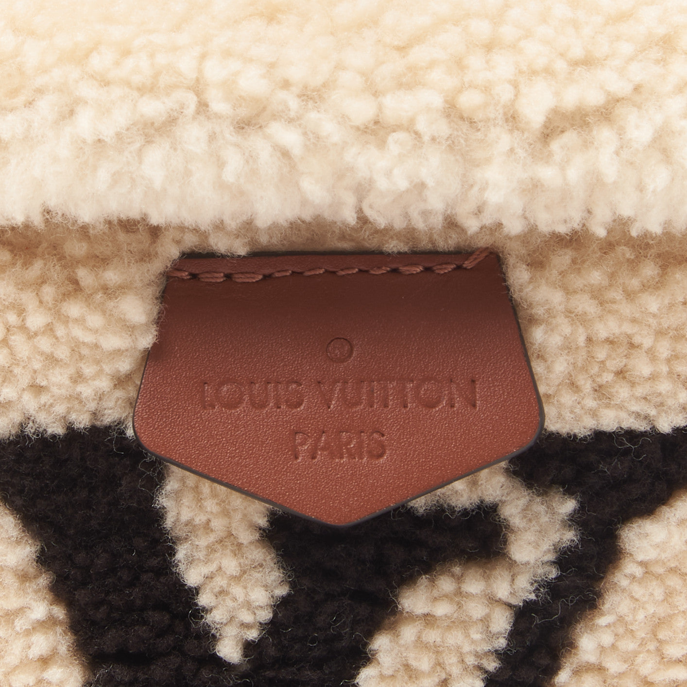 Louis Vuitton Monogram Teddy Bumbag 10 of 12