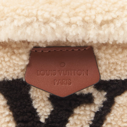 Louis Vuitton Monogram Teddy Bumbag 10 of 12