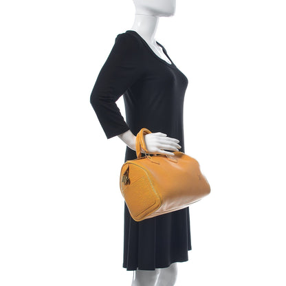 Louis Vuitton Epi Speedy 25 Tassil 2 of 15