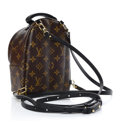 Louis Vuitton Monogram Palm Springs Backpack Mini 3 of 10