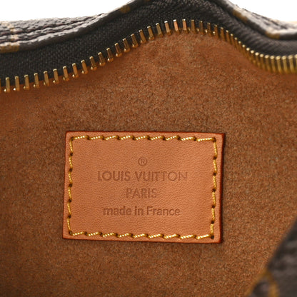 Louis Vuitton Monogram Loop 6 of 9