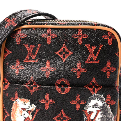 Louis Vuitton Catogram Small Paname Marron 8 of 10