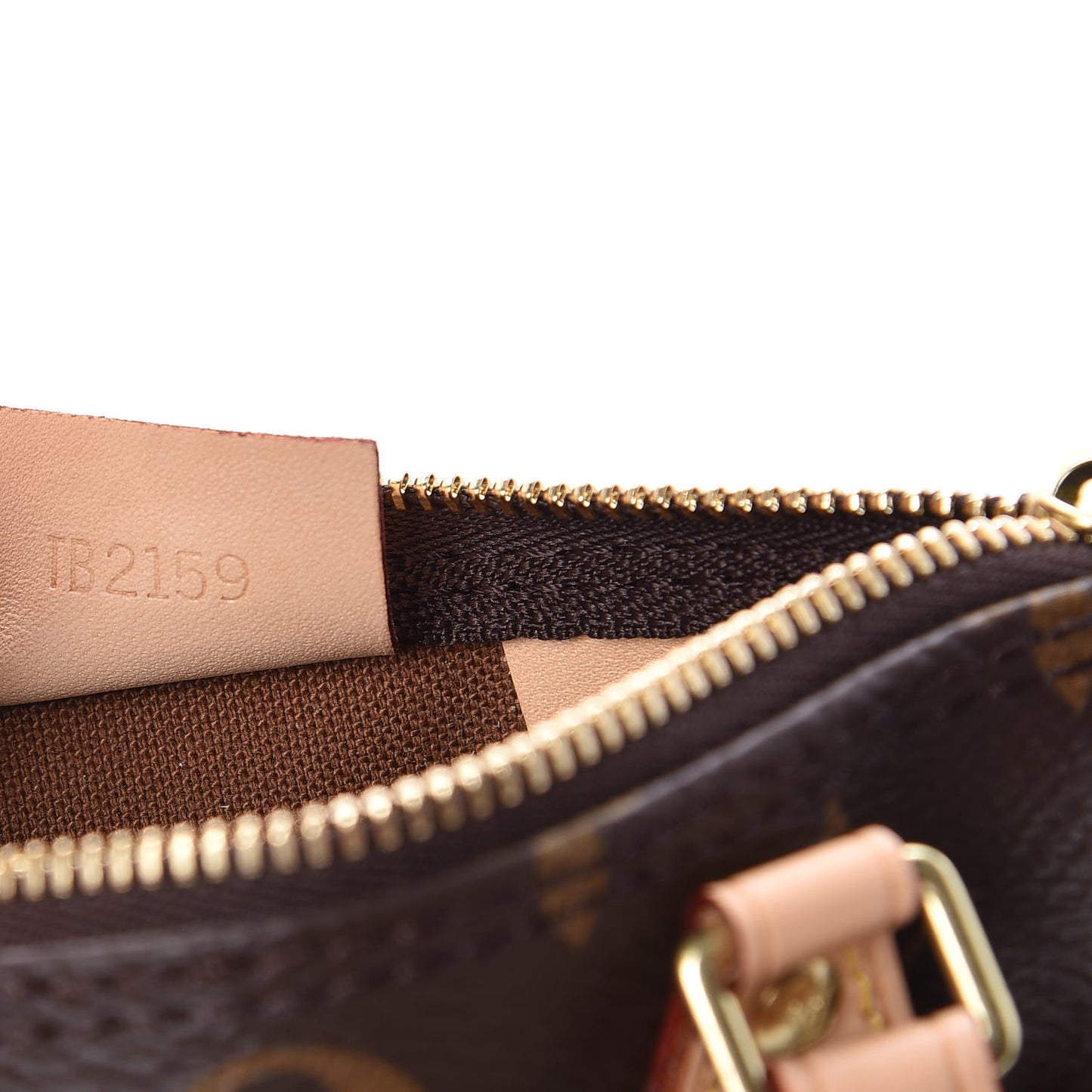 Monogram Nano Speedy