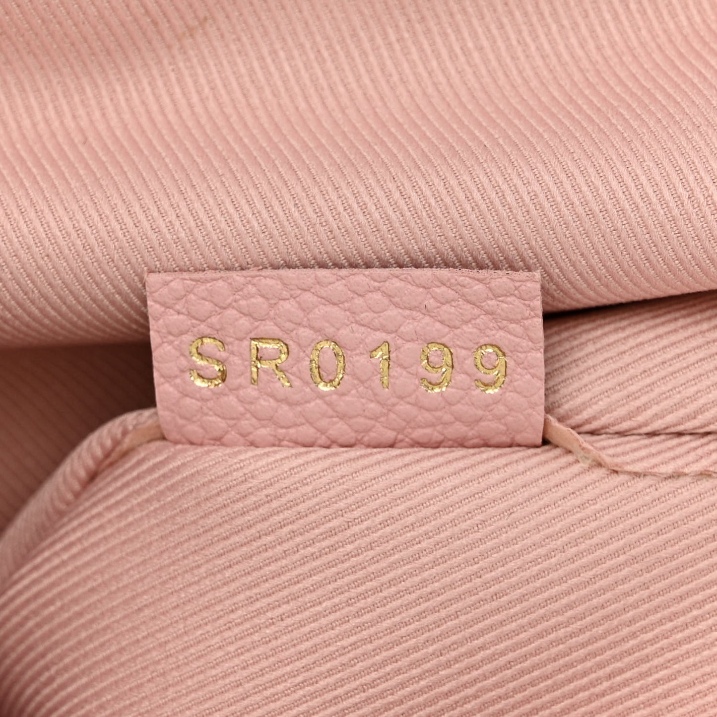 Damier Ebene Clapton Backpack Magnolia