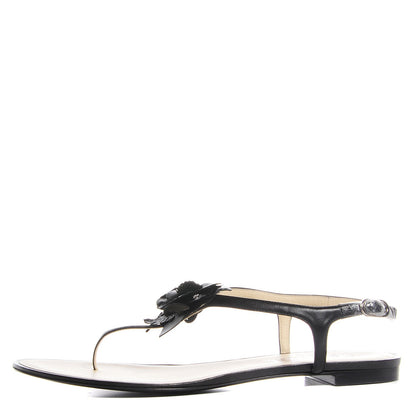 Chanel Lambskin Camellia Thong Sandals 41 11 Black 8 of 14