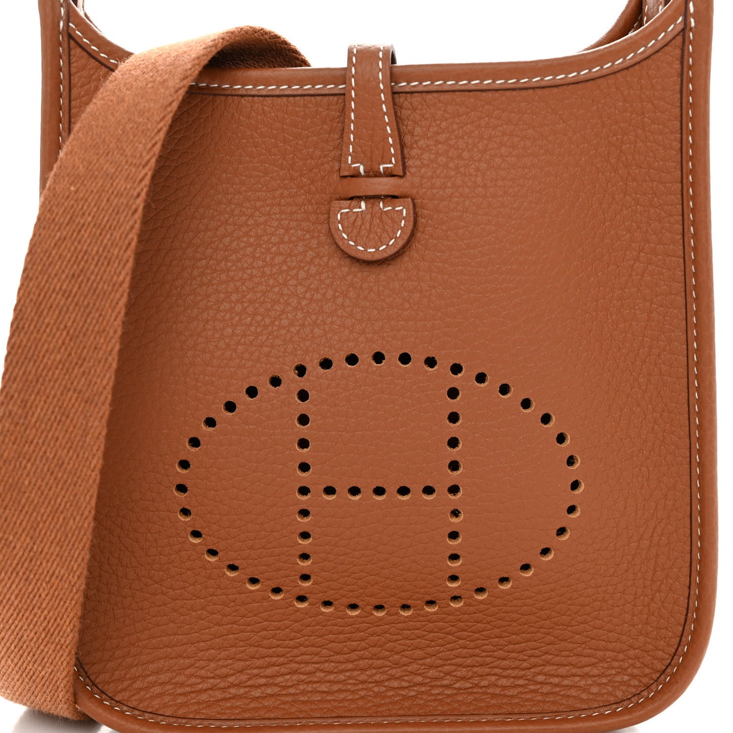 Taurillon Maurice Evelyne TPM Gold