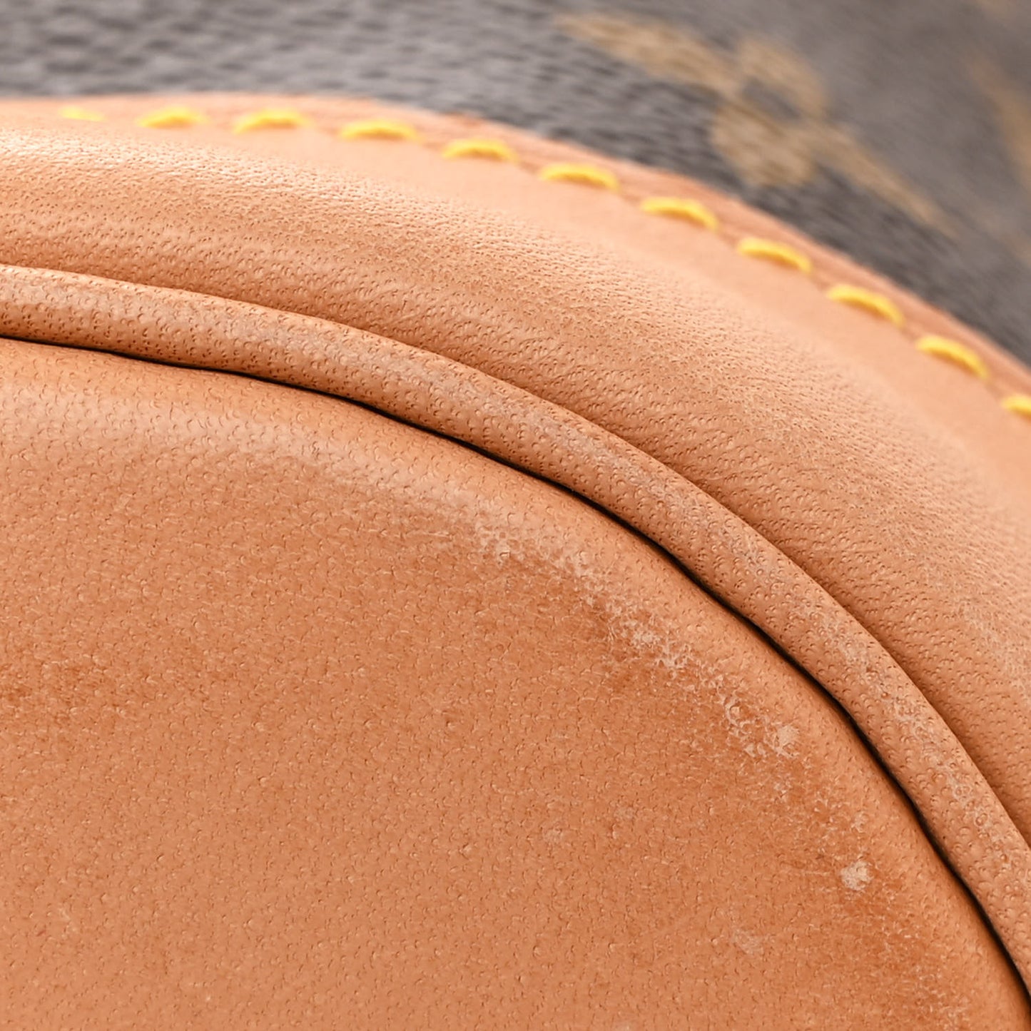 Monogram Montsouris GM Backpack