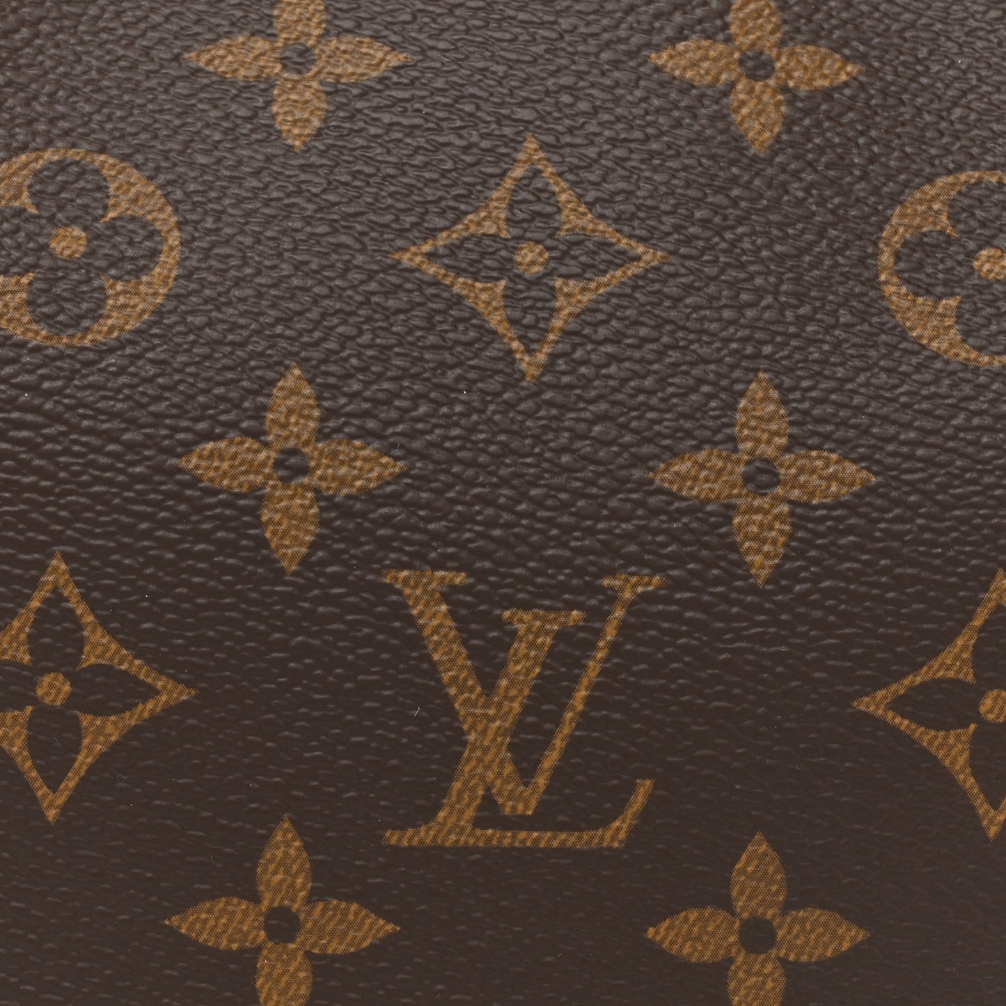 Monogram CarryAll PM