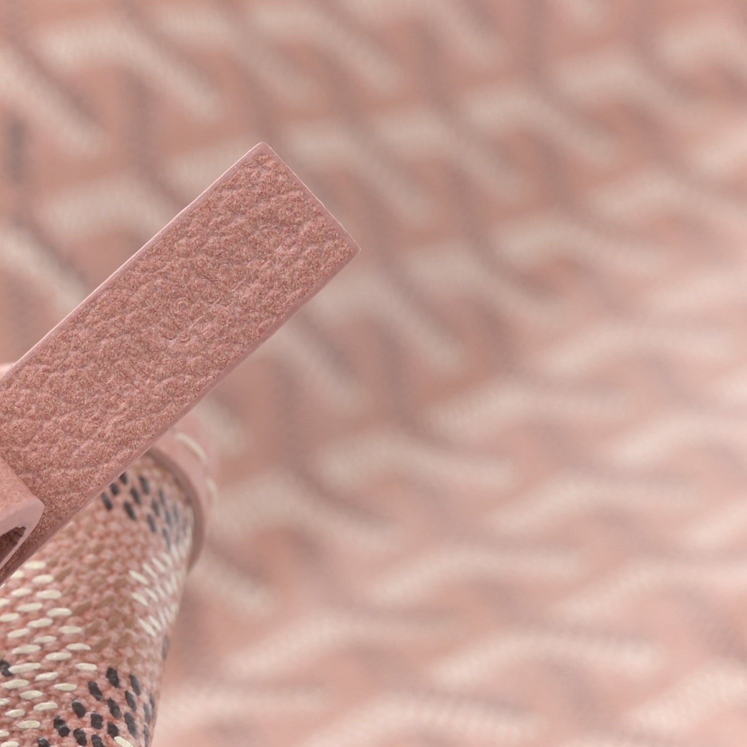 Goyard Iridescent Goyardine Saint Louis PM Pearly Coral 14 of 21