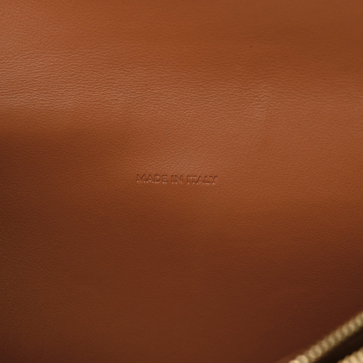 Triomphe Canvas Lambskin Wallet On Strap Tan