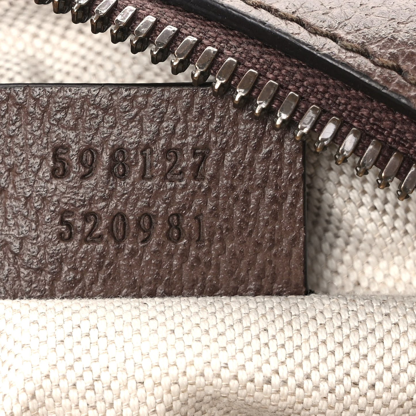 GG Supreme Monogram Web Mini Ophidia Messenger Brown