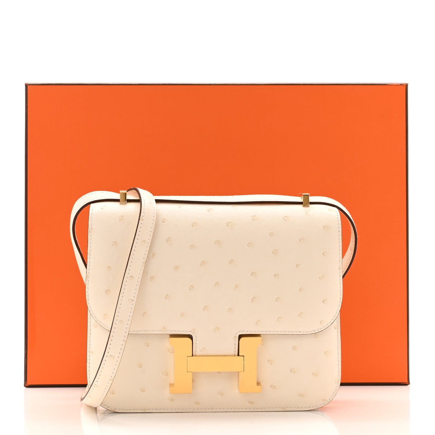 Ostrich Constance 18 Nata