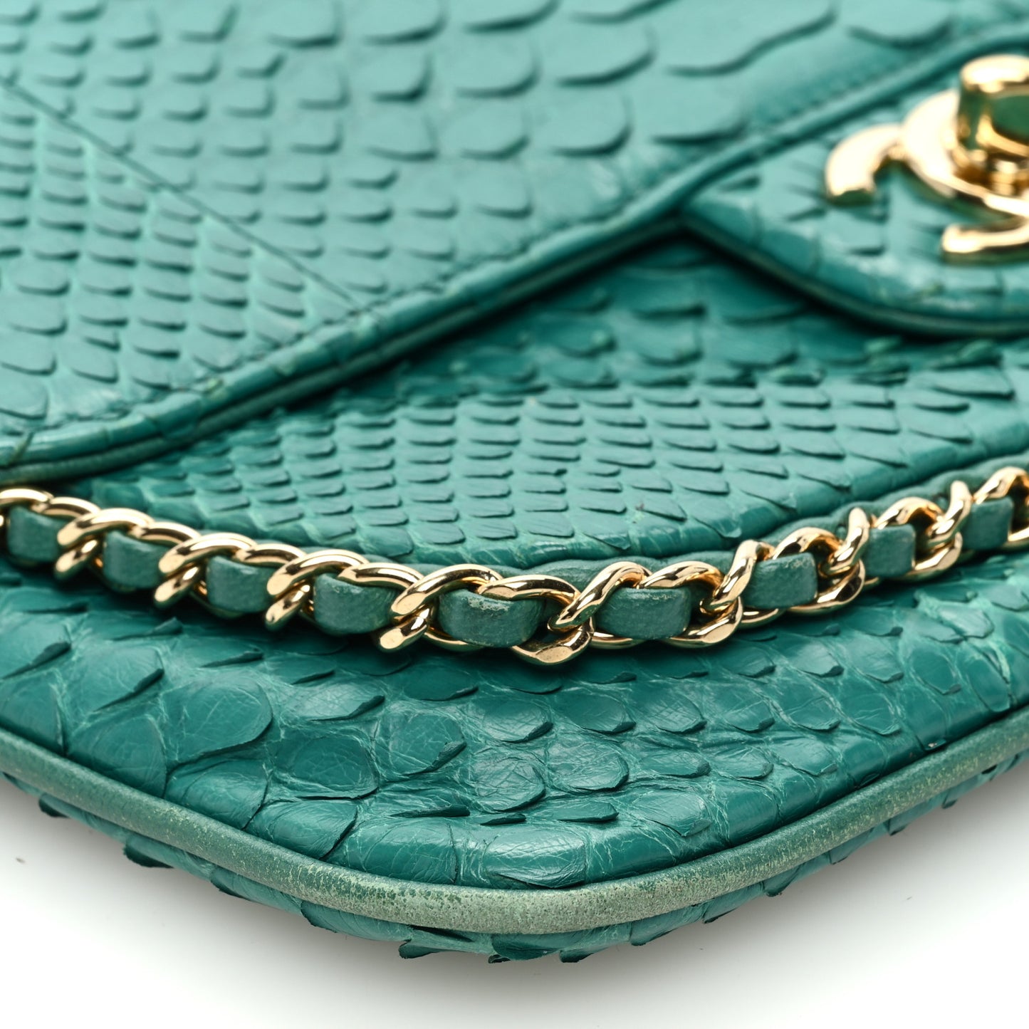 Snakeskin Chain Around Single Flap Turquoise