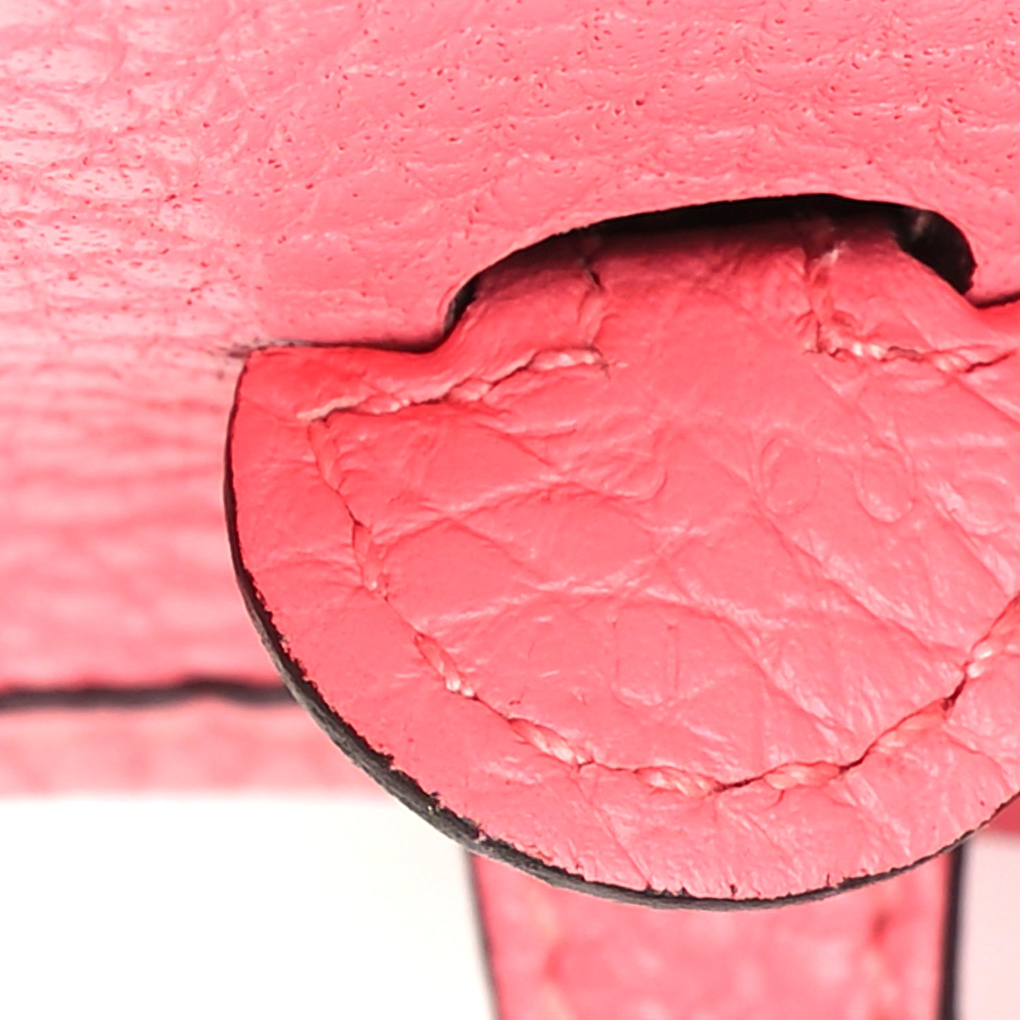 Taurillon Clemence Allegro Evelyne TPM Rose Azalee Rose Confetti