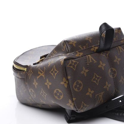 Louis Vuitton Monogram Palm Springs Backpack PM 5 of 10