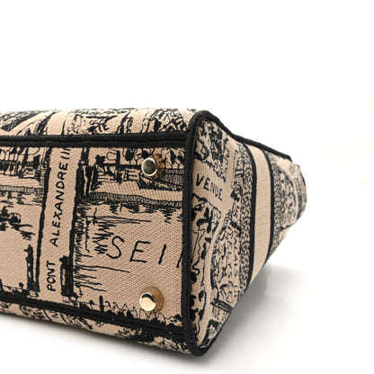Christian Dior Canvas Embroidered Medium Plan de Paris Lady D-Lite Beige Black 9 of 9
