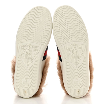 Gucci Calfskin Wool Web Bee Embroidered Womens Ace Sneakers 36 White 5 of 8