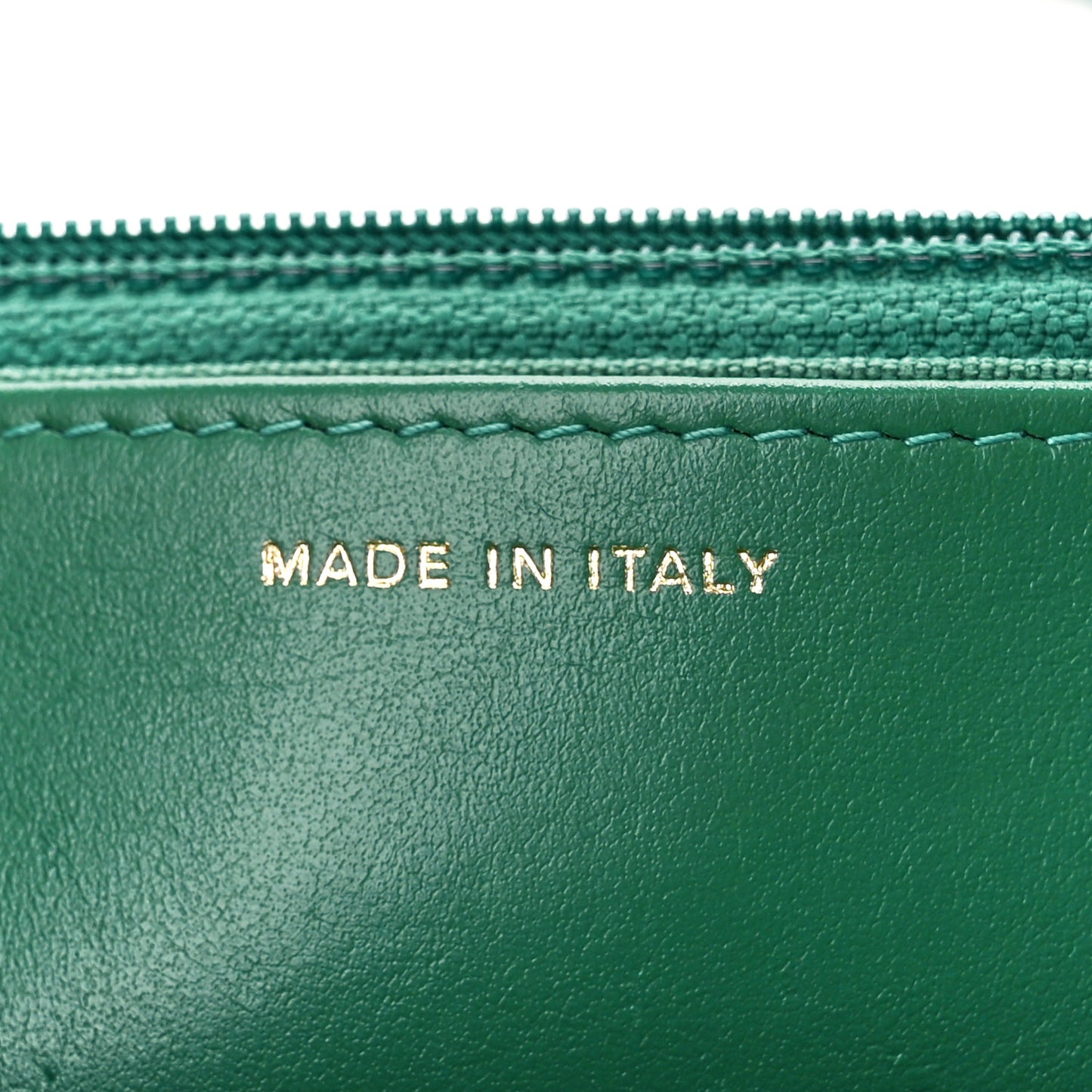 Lambskin Quilted Chanel 19 Wallet On Chain WOC Green