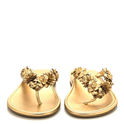 Chanel Laminated Lambskin Camellia Thong Sandals 38 Gold 2 of 8