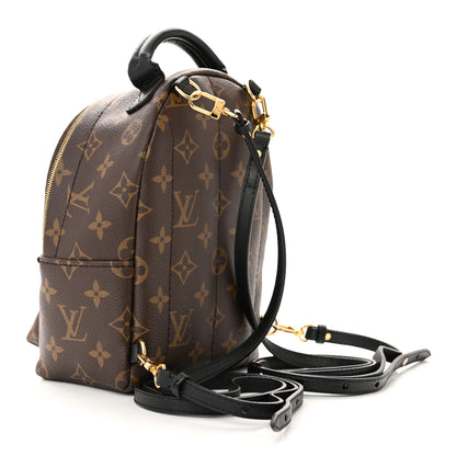 Louis Vuitton Monogram Palm Springs Backpack Mini 3 of 14