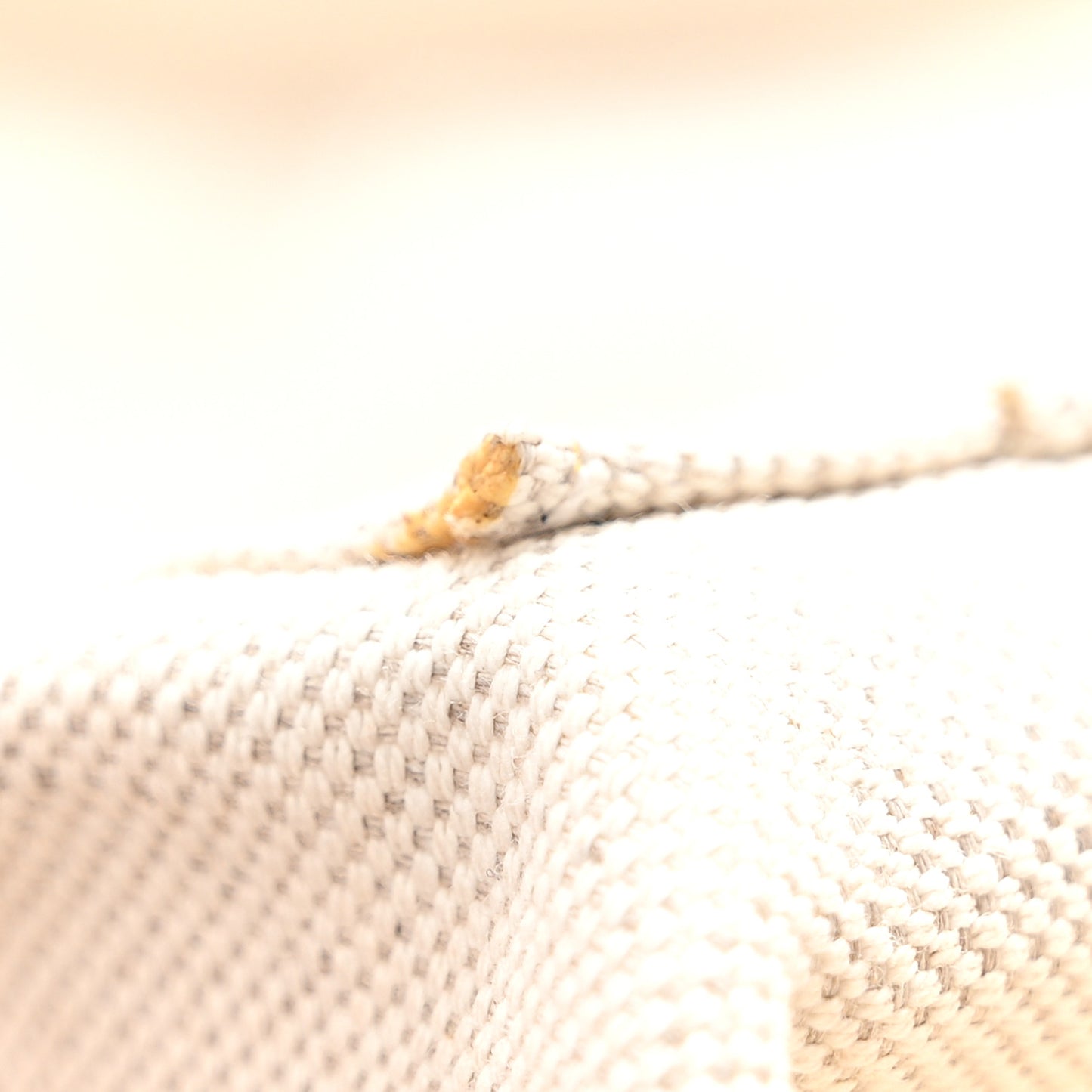 GG Supreme Monogram Textured Dollar Calfskin Web Large Savoy Duffle Bag Beige Ebony New Acero