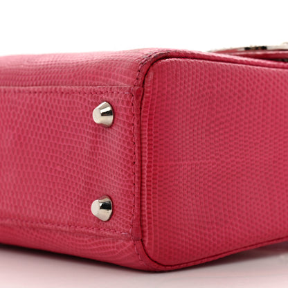 Christian Dior Lizard Swarovski Crystal Mini Lady Dior Dark Pink 10 of 15