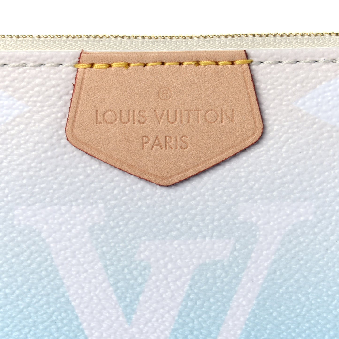 Monogram Giant By The Pool Multi Pochette Accessories Large Pochette Blue