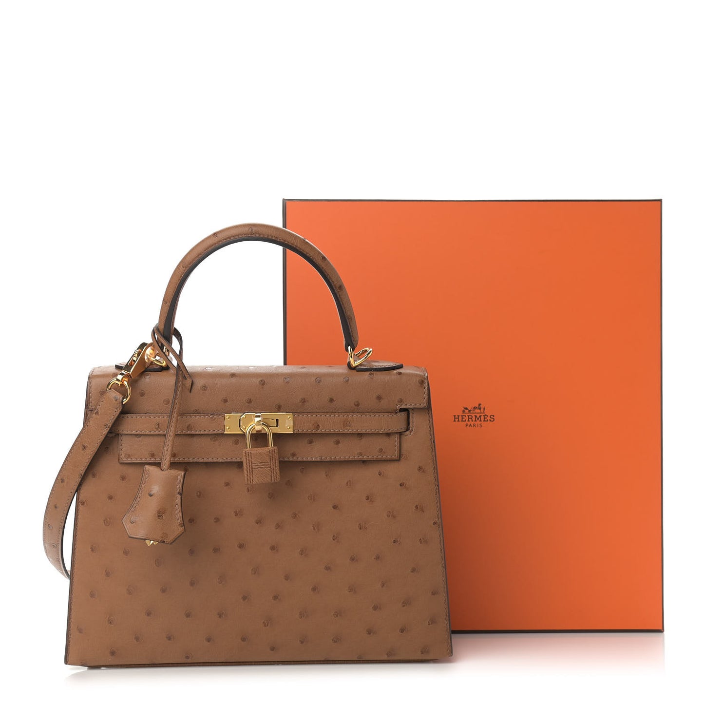 Ostrich Kelly Sellier 25 Alezan