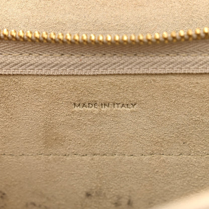 Celine Grained Calfskin Nano Belt Bag Light Taupe 6 of 17