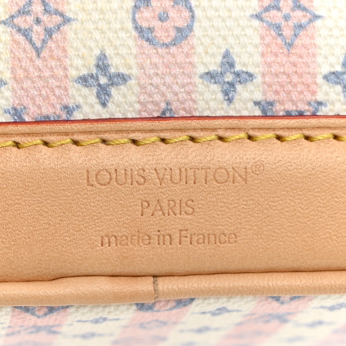 Louis Vuitton Minigram LV Stamp Nano Noe Blue 6 of 10